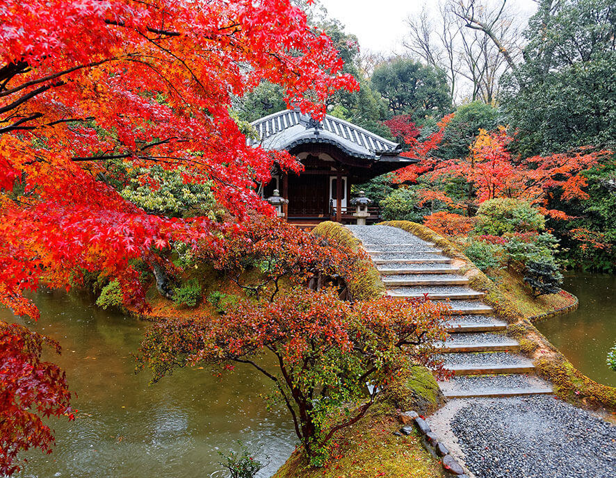 Japanese garden autumn